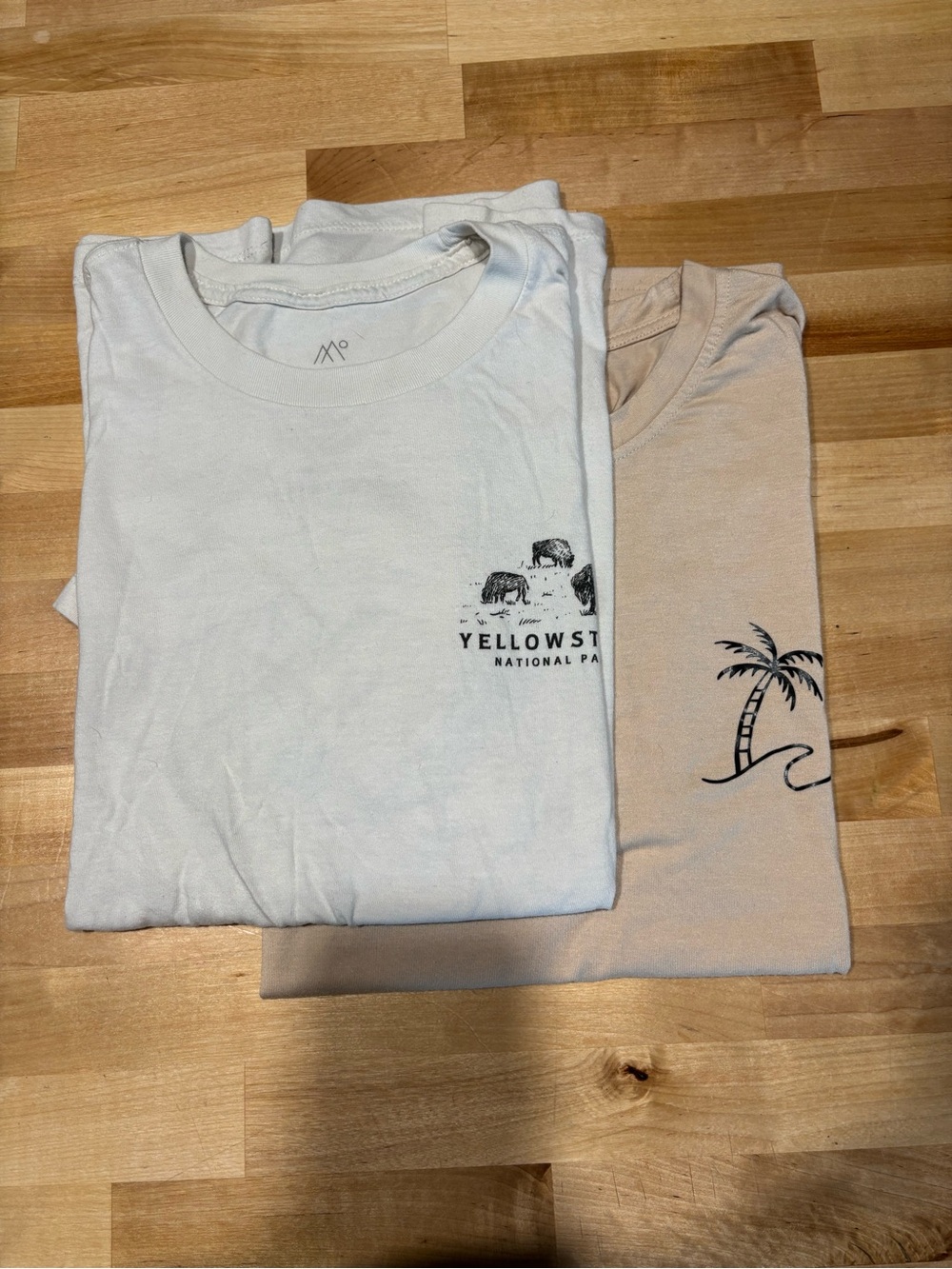 2 casual men’s tees